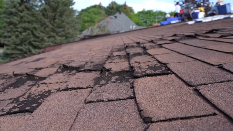 Best Roofing for New Construction  in Burnsville, NC